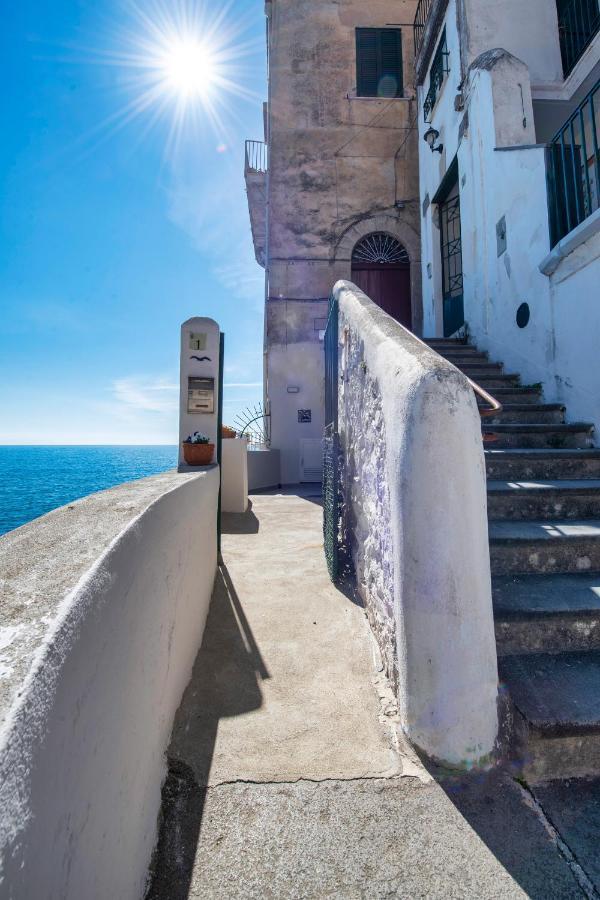 Il Nido Del Gabbiano Διαμέρισμα Minori Εξωτερικό φωτογραφία